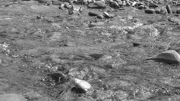 SII se querella por ventas con medios de pago electrónicos no declaradas