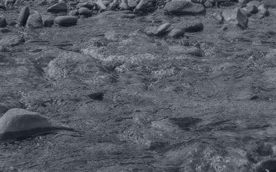 Operación Renta 2026: nuevas declaraciones juradas a considerar