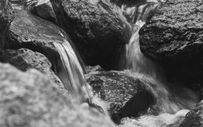 Cláusula de la nación más favorecida: cómo impacta a los convenios tributarios